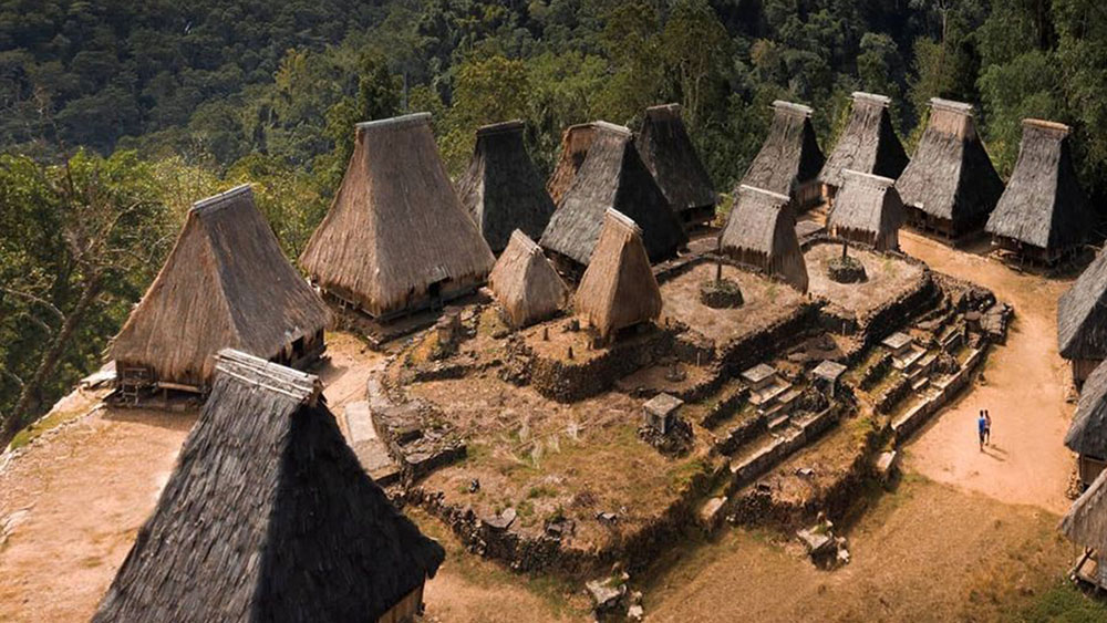8 Days 7 Nights Flores Komodo Adventure Tours
