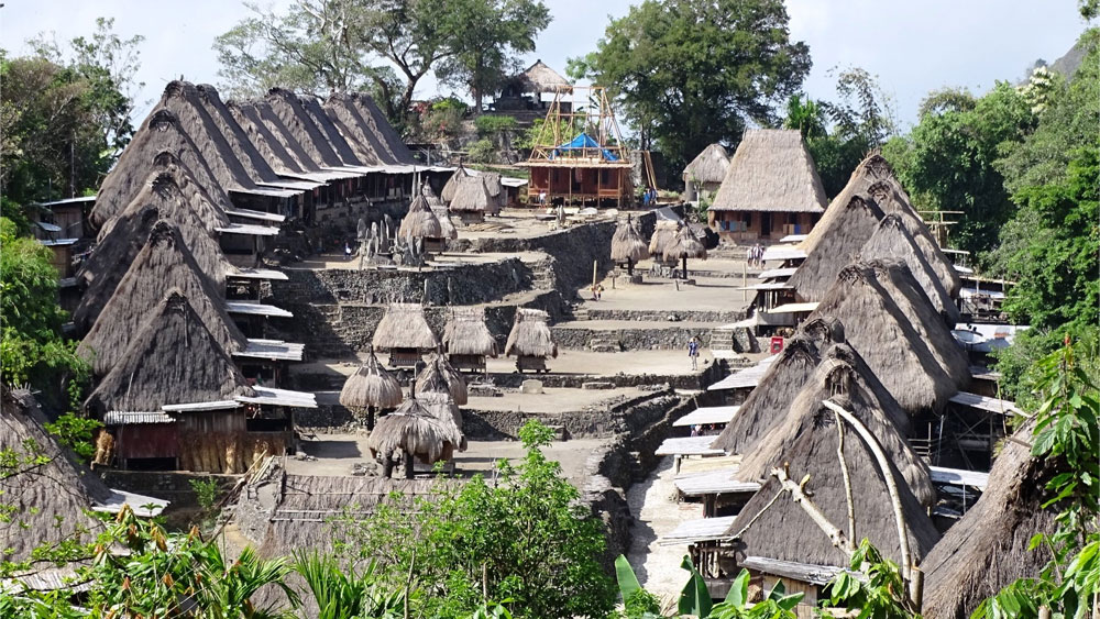 7 Days 6 Nights Flores Komodo Tours