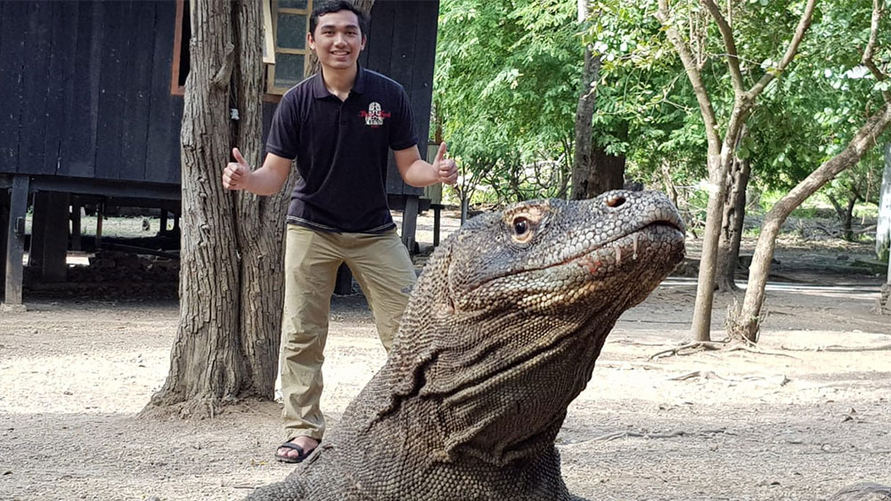 Komodo Tours From Cruise Ship