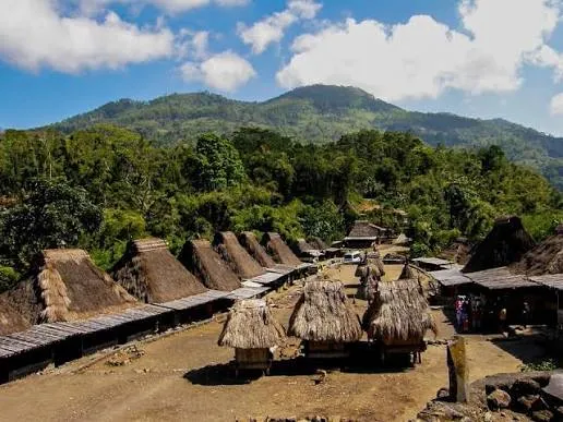 Bena traditional village