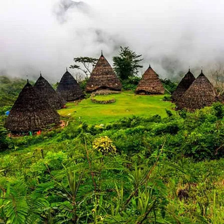 Wae rebo traditional village